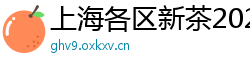 上海各区新茶2025qt海选经纪人